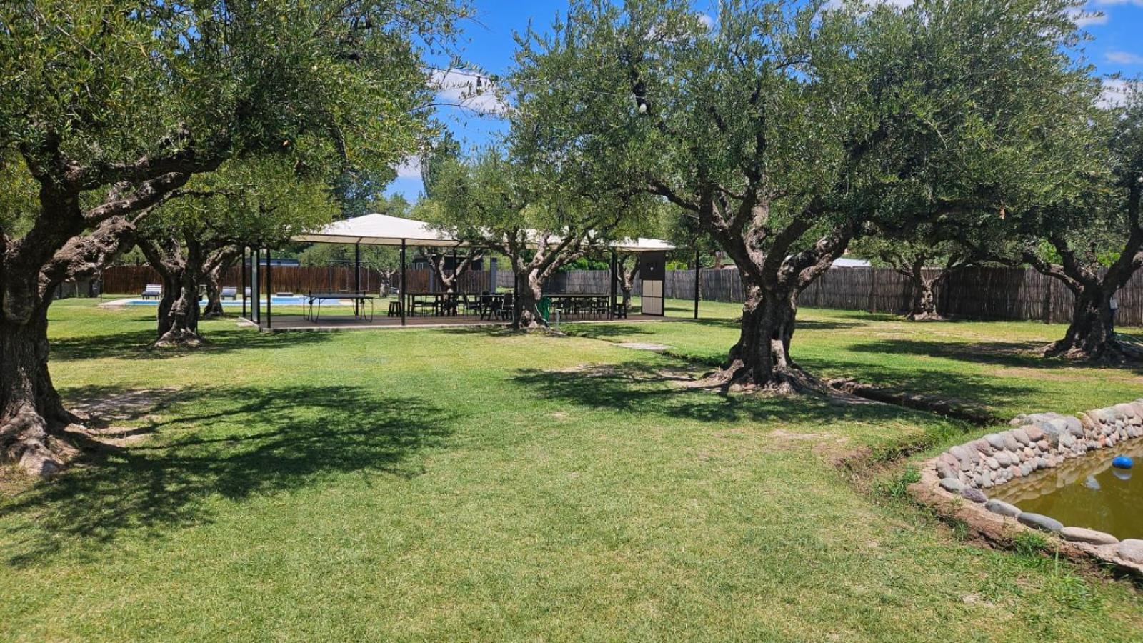 Olivanegra - Oliva3 Holiday home Maipu (Mendoza)